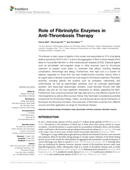 Role of Fibrinolytic Enzymes in Anti-Thrombosis Therapy