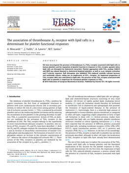 The Association of Thromboxane A2 Receptor with Lipid Rafts Is a Determinant for Platelet Functional Responses ⇑ A