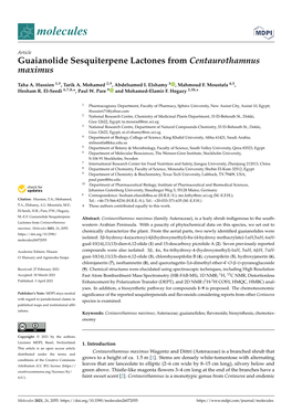 Guaianolide Sesquiterpene Lactones from Centaurothamnus Maximus