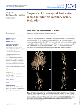 Diagnosis of Interrupted Aortic Arch in an Adult During Coronary Artery