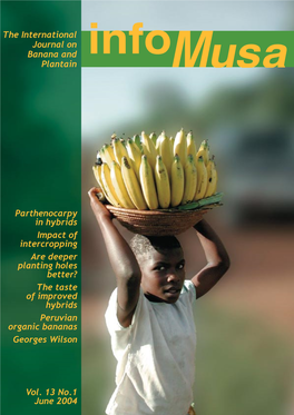 Parthenocarpy in Hybrids Impact of Intercropping Are Deeper Planting Holes Better? the Taste of Improved Hybrids Peruvian Organic Bananas Georges Wilson