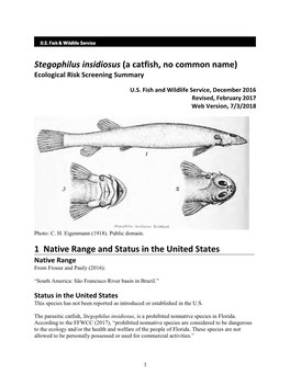 Stegophilus Insidiosus (A Catfish, No Common Name) Ecological Risk Screening Summary
