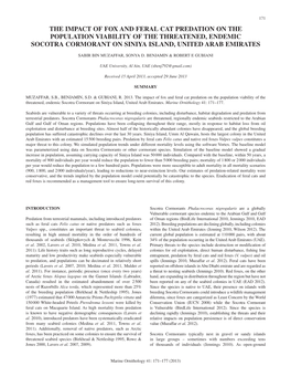 The Impact of Fox and Feral Cat Predation on the Population Viability of the Threatened, Endemic Socotra Cormorant on Siniya Island, United Arab Emirates