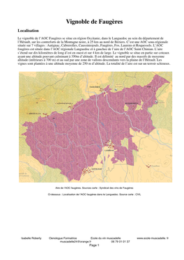 Vignoble De Faugères Localisation