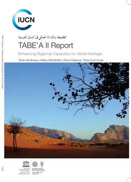 TABE'a II Report