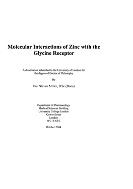 Molecular Interactions of Zinc with the Glycine Receptor