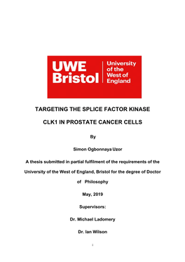 Targeting the Splice Factor Kinase CLK1 in Prostate Cancer