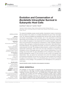 Evolution and Conservation of ﻿Bordetella﻿ Intracellular Survival In