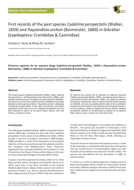 Paysandisia Archon (Burmeister, 1880) in Gibraltar (Lepidoptera: Crambidae & Castniidae)