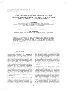 Teleostei: Gobiidae: Oxudercinae) from the Gulf of Papua, Papua New Guinea, and a Key to the Genus