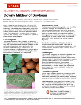 Downy Mildew of Soybean