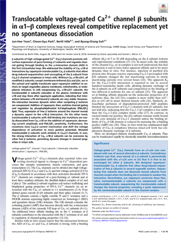 Translocatable Voltage-Gated Ca2+ Channel Β Subunits in Α1–Β