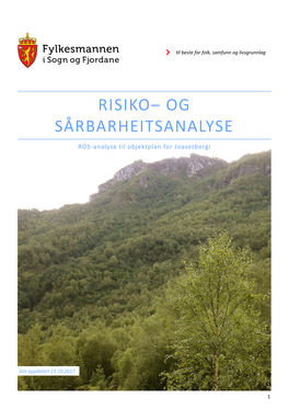 Risiko– Og Sårbarheitsanalyse