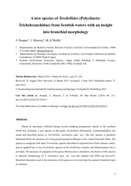 A New Species of Terebellides (Polychaeta: Trichobranchidae) from Scottish Waters with an Insight Into Branchial Morphology