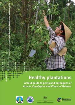 Healthy Plantations. a Field Guide to Pests and Pathogens of Acacia, Eucalyptus and Pinus in Vietname (English Edition)