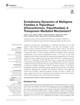 Evolutionary Dynamics of Multigene Families in Triportheus (Characiformes, Triportheidae): a Transposon Mediated Mechanism?