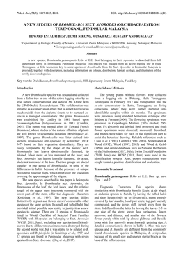 A New Species of Bromheadia Sect. Aporodes (Orchidaceae) From