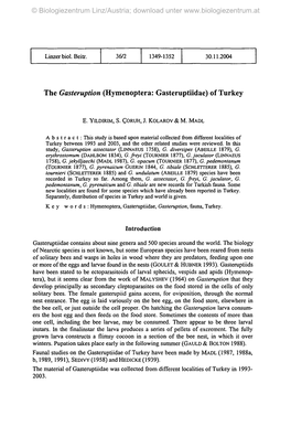 The Gasteruption (Hymenoptera: Gasteruptiidae) of Turkey