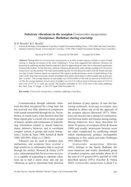 Substrate Vibrations in the Scorpion Centruroides Margaritatus (Scorpiones: Buthidae) During Courtship