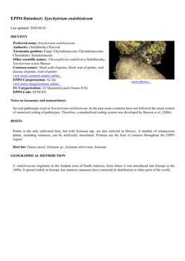 EPPO Datasheet: Synchytrium Endobioticum