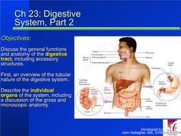 Ch 23: Digestive System, Part 2