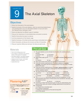 Axial Skeleton