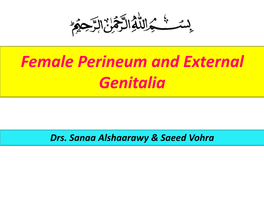 Female Perineum and External Genitalia