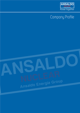 Company Profile ANSALDO NUCLEAR