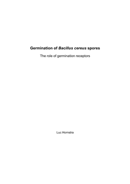 Germination of Bacillus Cereus Spores