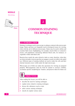 Lesson 2.Common Staining Techniques