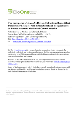 Two New Species of Actenodes Dejean