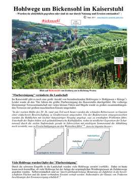 Hohlwege Kaiserstuhl