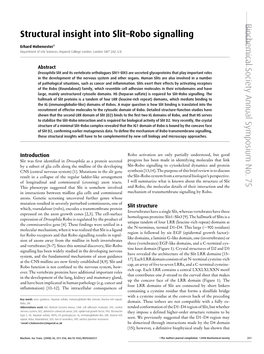 Structural Insight Into Slit–Robo Signalling