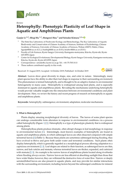 Heterophylly: Phenotypic Plasticity of Leaf Shape in Aquatic and Amphibious Plants