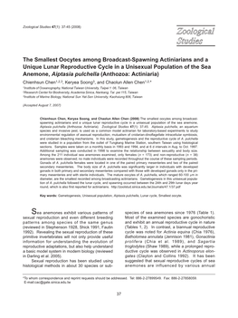 The Smallest Oocytes Among Broadcast-Spawning Actiniarians