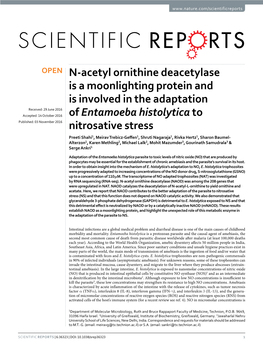 N-Acetyl Ornithine Deacetylase Is a Moonlighting Protein and Is