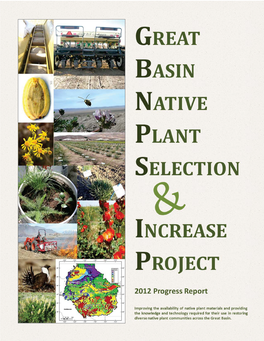 Great Basin Native Plant Selection and Increase Project
