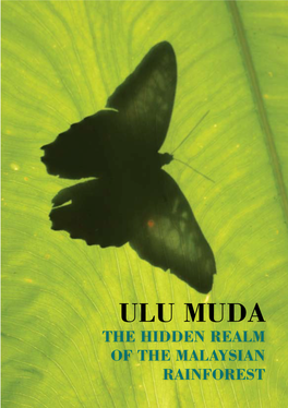 ULU MUDA the HIDDEN REALM of the MALAYSIAN RAINFOREST a B 1 Figure 1 : Location Map