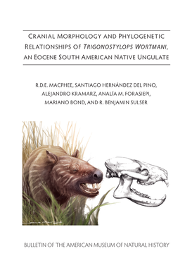 Cranial Morphology and Phylogenetic Relationships of Trigonostylops Wortmani, an Eocene South American Native Ungulate