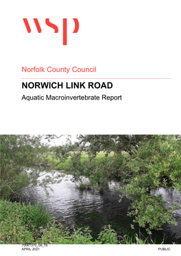 NORWICH LINK ROAD Aquatic Macroinvertebrate Report