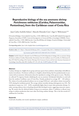 Reproductive Biology of the Sea Anemone Shrimp Periclimenes Rathbunae (Caridea, Palaemonidae, Pontoniinae), from the Caribbean Coast of Costa Rica