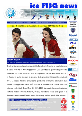 Newsletter Fisg 28-11-12