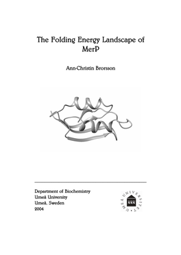 The Folding Energy Landscape of the Folding Energy Landscape of Merp