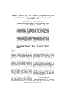 The South American Catfish Genus Entomocorus (Ostariophysi: Siluriformes: Auchenipteridae), with the Description of a New Species from the Paraguay River Basin