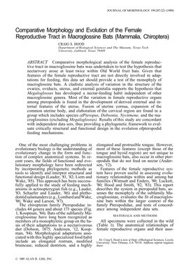 Comparative Morphology and Evolution of the Female Reproductive Tract in Macroglossine Bats (Mammalia, Chiroptera) CRAIG S