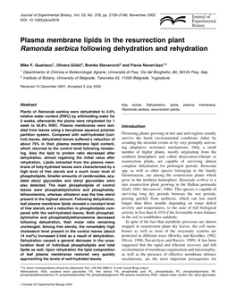 Plasma Membrane Lipids in the Resurrection Plant Ramonda Serbica Following Dehydration and Rehydration