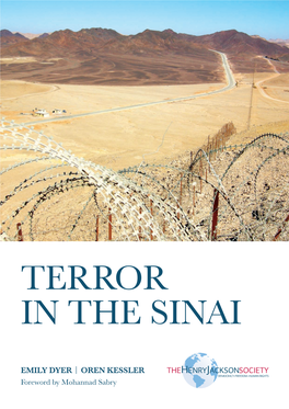 Terror in the Sinai
