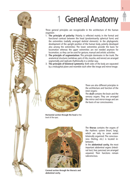 1 General Anatomy