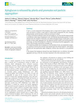 Xyloglucan Is Released by Plants and Promotes Soil Particle Aggregation