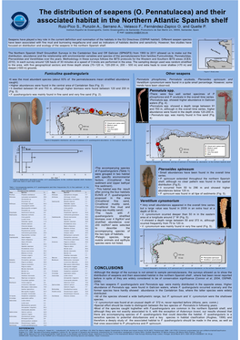 And Their Associated Habitat in the Northern Atlantic Spanish Shelf Ruiz-Pico S., Punzón A., Serrano A., Velasco F., Fernández-Zapico O